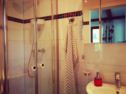 a bathroom with a shower and a sink at Haus Alpina in Häselgehr