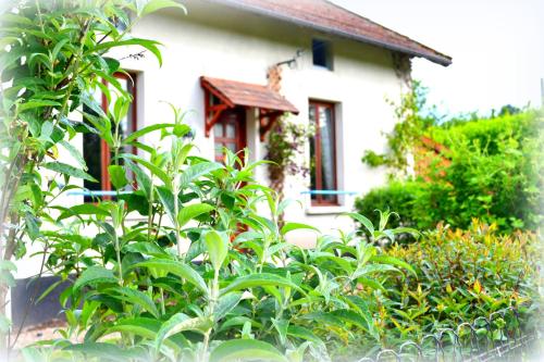 a bush in front of a house at Saint Moreil Gite in Saint-Moreil