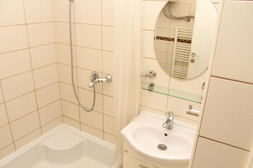 a bathroom with a shower and a sink and a mirror at Olad Riverview Townhouse in Sarajevo