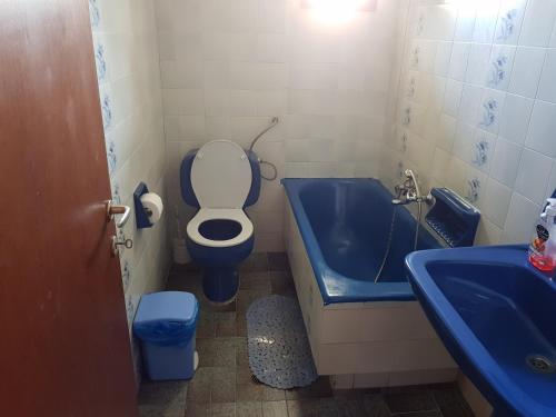 a bathroom with a toilet and a blue bath tub at Villa Ourania in Troulos