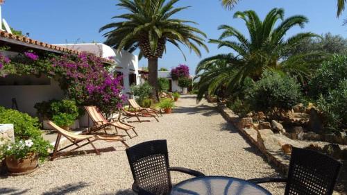 a patio with chairs and palm trees and flowers at Appartamentos Michel Dos in Sant Ferran de Ses Roques
