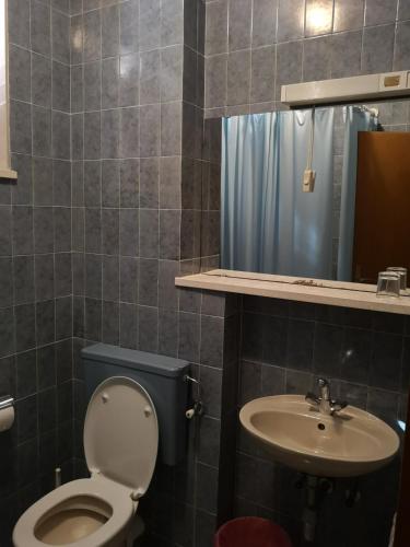 a bathroom with a toilet and a sink at Apartments and Rooms Villa Mir in Zaton
