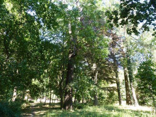Příroda nedaleko apartmánu