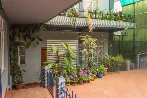 a bunch of plants on the side of a building at Latei Ville Inn in Shillong
