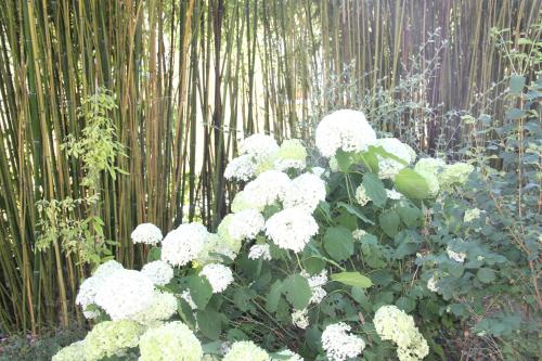Photo de la galerie de l'établissement La Villa Blanche, à Bussy-Saint-Martin