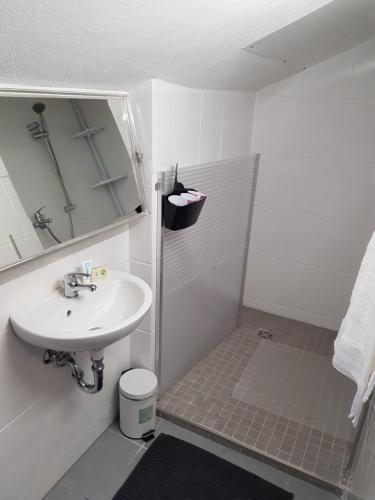 フュッセンにあるApartment Debiの小さなバスルーム(シンク、シャワー付)