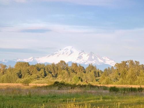 a snow covered mountain in the distance with trees at Raintree's Sandcastle, Birch Bay in Blaine