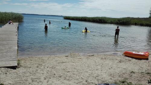 a group of people in the water at a beach at Dom Mazury Harsz in Harsz