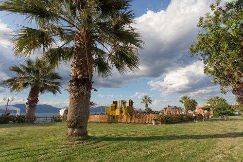 a palm tree in a park with buildings in the background at Seaside Studios in Áyioi Apóstoloi