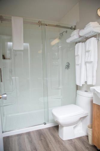 a bathroom with a shower and a toilet at Valemount Vacation Inn in Valemount