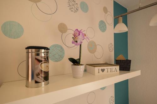 a shelf with a pot and a flower on it at Zimmervermietung Vock in Eschwege