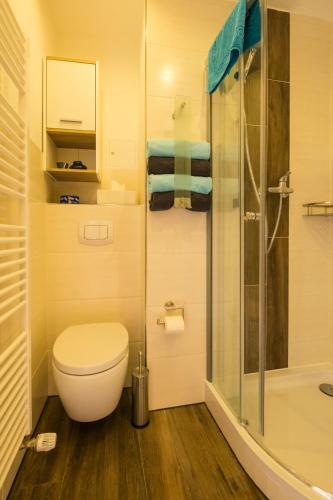 a bathroom with a toilet and a shower at Zimmervermietung Vock in Eschwege