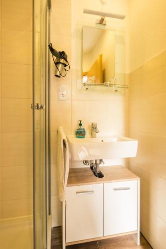a bathroom with a sink and a mirror at Zimmervermietung Vock in Eschwege