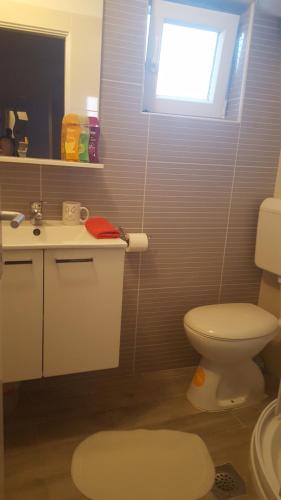 a bathroom with a toilet and a sink and a window at Roko Apartments in Biograd na Moru