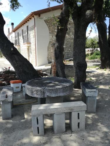 a table and benches sitting next to a tree at B&B Pozzo Innamorato in Montenero di Bisaccia