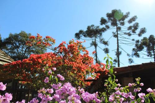 Pousada Terra Viva – Photos 4