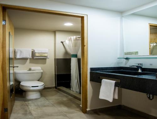 La salle de bains est pourvue de toilettes et d'un lavabo. dans l'établissement Mision Express Durango, à Durango
