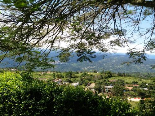 a view of a town from under a tree at Hacienda Siete Sentidos in La Mesa