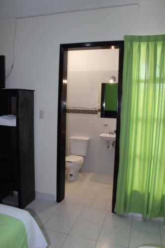 a bathroom with a toilet and a green shower curtain at Hotel D'Lina Princess Suites in San Cristóbal de Las Casas