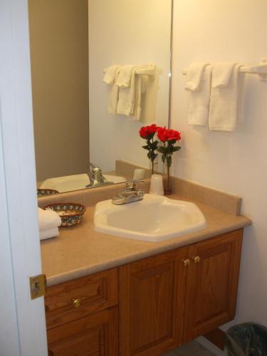 a bathroom with a sink and a mirror at Motel 99 in Grand Forks