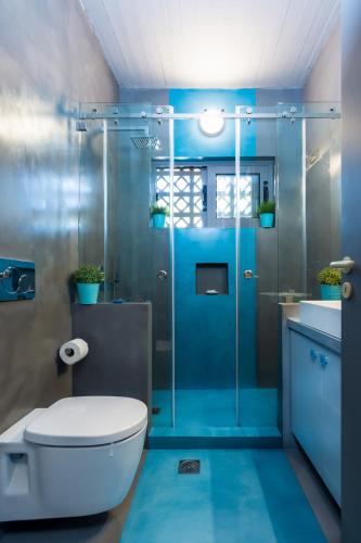a bathroom with a toilet and a glass shower at Lagonisi Villa Afroditi in Lagonissi