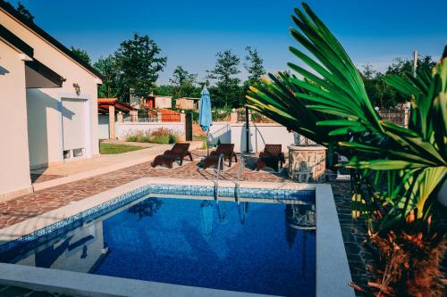 Ružići的住宿－HA-LU 1 - Holiday Relax Home，一个带椅子的游泳池,并种植了棕榈树