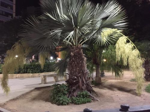 Cabo Marにある庭