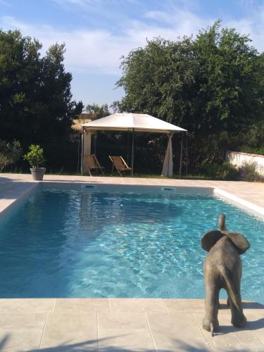 a statue of an elephant standing in a swimming pool at Mas d'Asvin & Spa in Saint-Christol-lès-Alès
