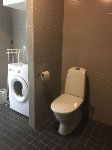 a bathroom with a toilet and a washing machine at Paljakka Villas in Kotila