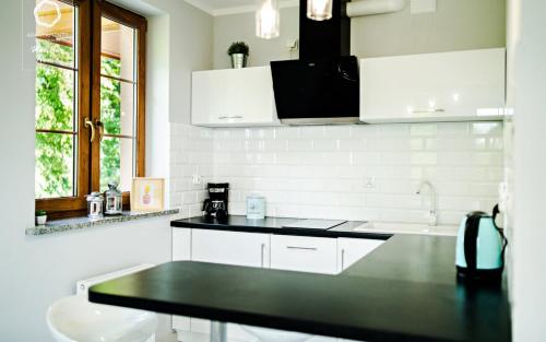 Η κουζίνα ή μικρή κουζίνα στο Wonder Home - Apartamenty z balkonami Leśny Dom II - w cichej i zielonej części Karpacza