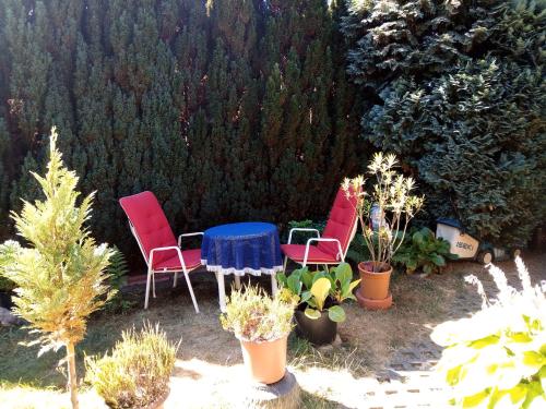 Κήπος έξω από το ** Ferienwohnung im Weltkulturerbe nahe Loreley