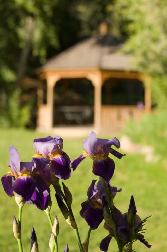 a group of purple flowers in front of a house at Fort Marcy Suites by All Seasons Resort Lodging in Santa Fe