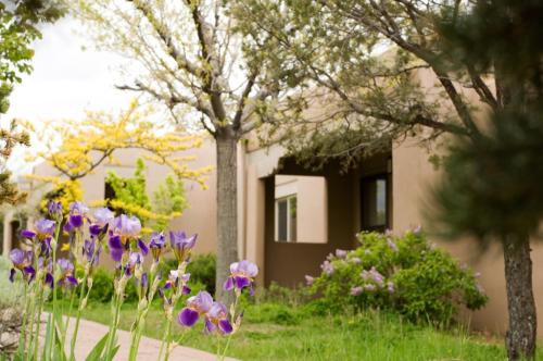 a garden of purple flowers in front of a house at Fort Marcy Suites by All Seasons Resort Lodging in Santa Fe