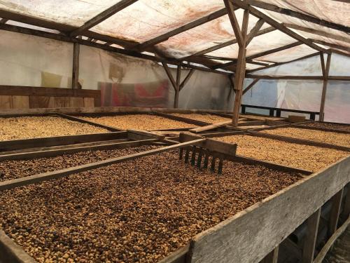 a large greenhouse filled with gravel and dirt at Firma Efraim in Trindade