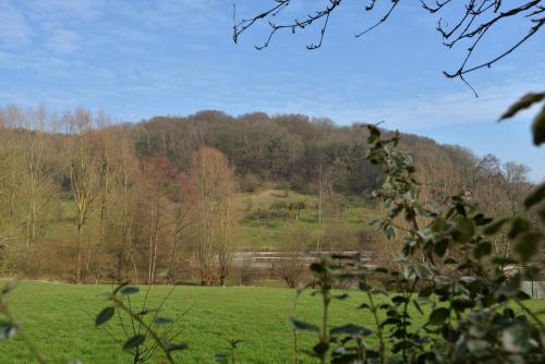 a field with a river and trees in the background at Hotel Schilberg in Slenaken