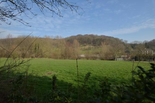 a field of green grass with trees in the background at Hotel Schilberg in Slenaken