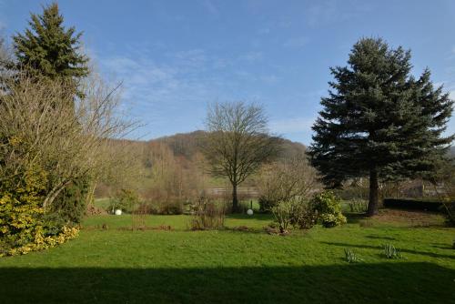 a garden with two trees and green grass at Hotel Schilberg in Slenaken