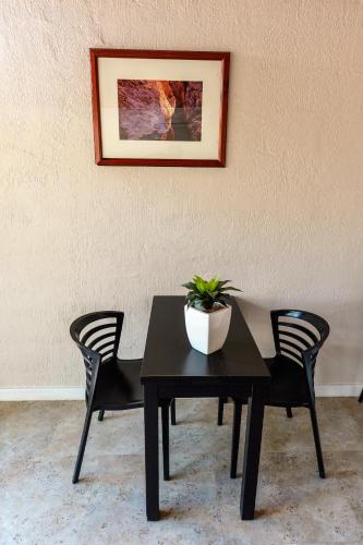 a table with two chairs and a plant on it at Desert Palms Alice Springs in Alice Springs