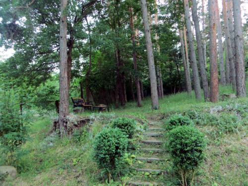 a stone path in a forest with trees at Guest House Kamea in Sighnaghi
