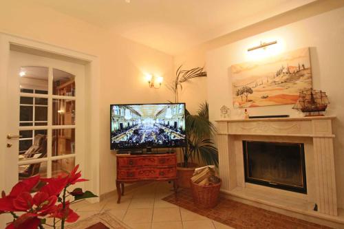 a living room with a television and a fireplace at Villa Wellness Homes in Mötz
