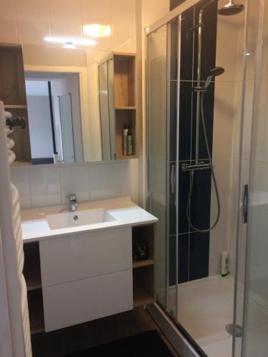 une salle de bain avec un lavabo et une douche dans l'établissement Appartement à Trouville sur mer, à Trouville-sur-Mer