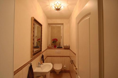 a bathroom with a sink and a toilet and a mirror at Villa Wellness Homes in Mötz