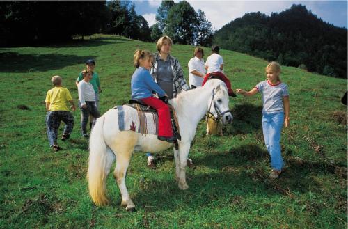 a group of people riding a horse in a field at Appartements Mary inklusive Tauern-Spa Kaprun in Kaprun