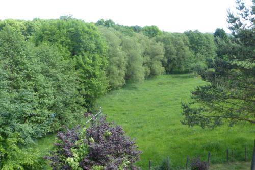 an overhead view of a field of grass with trees at Ferienwohnung am Eifelsteig in Roetgen