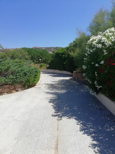 a road with flowers and bushes on the side at Sardegna Isola Rossa La Terrazza panoramiccissimo Cod iun S 8250 in Trinità dʼAgultu