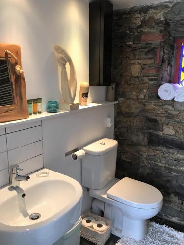 a bathroom with a white toilet and a sink at The Barn at Pink Cottage in Crossgar