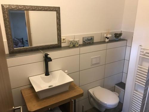 bagno con lavandino, servizi igienici e specchio di Pension Casa Luciko a Brachwitz