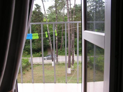 a window with a view of a yard at Private Cottage at the Black sea in Shekvetili