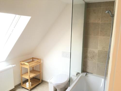 a bathroom with a toilet and a shower at Apartments Thommen Lohengrinstr in Nürnberg