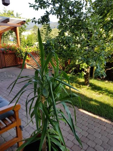 Ferienwohnung am Rain – Photos 4
